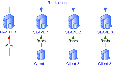 Replication